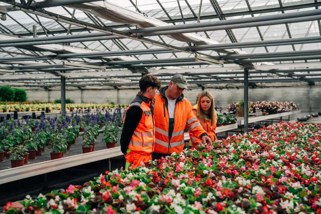 Ausbilder gemeinsam mit Marie und Jochen im Gewaechshaus