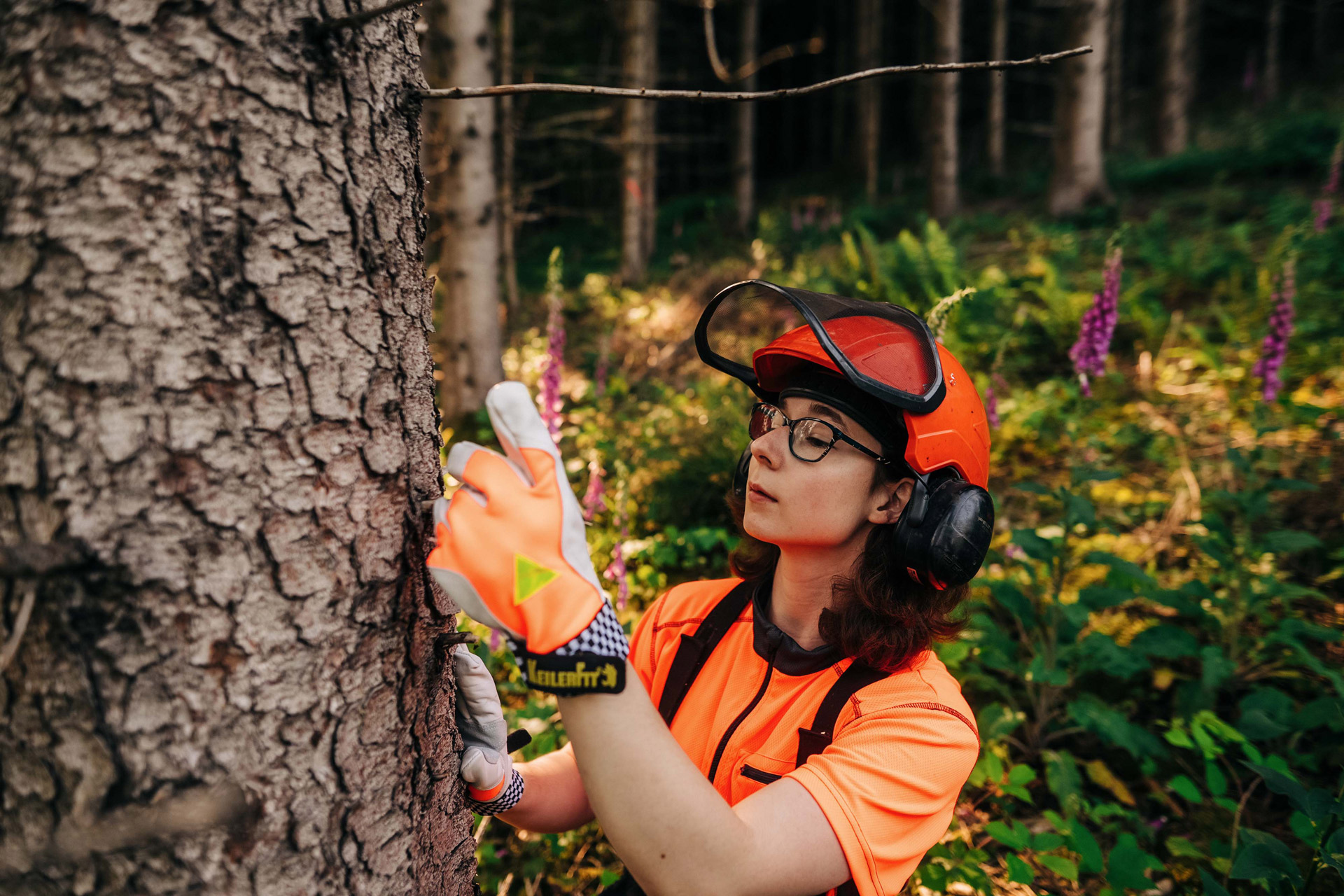 Tatjana Hoffmann untersucht einen Baum