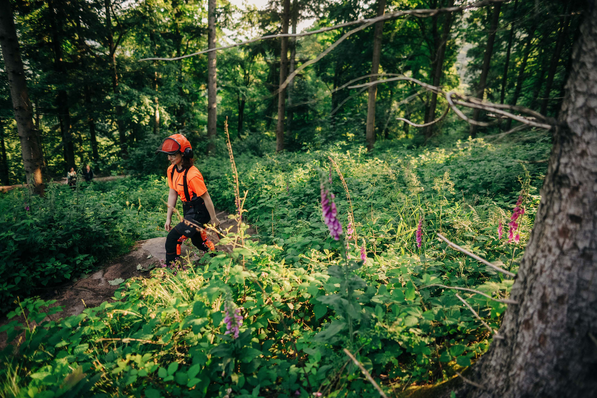 Forstwirtin läuft auf einem Waldweg