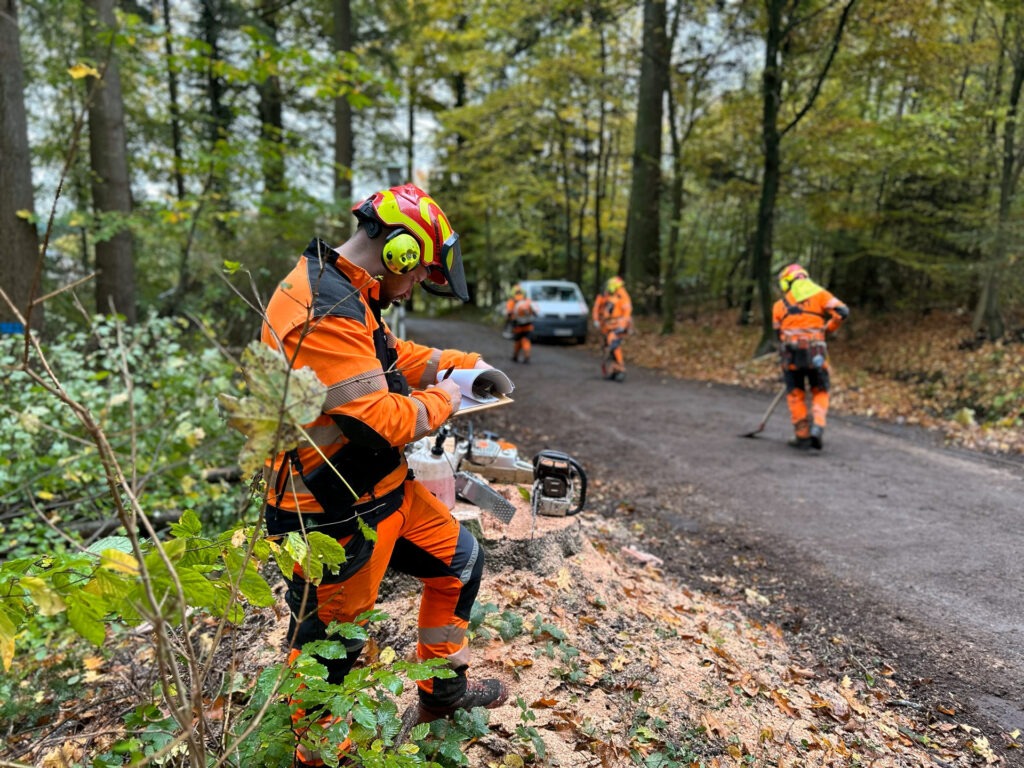 Marvin Kronauer bei der Arbeit im Wald