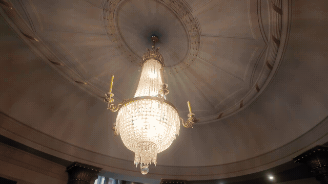 Animiertes Bild mit verschiedenen Szenen aus dem Standesamt