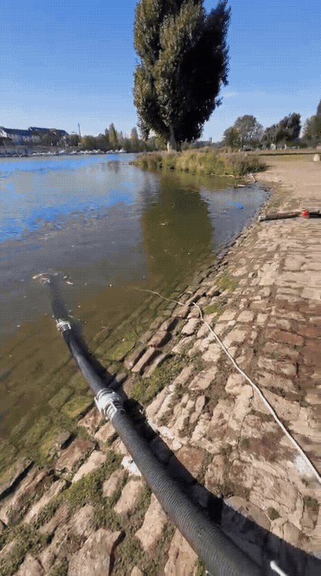Wasserübung der Auszubildenden der Feuerwehr Heidelberg